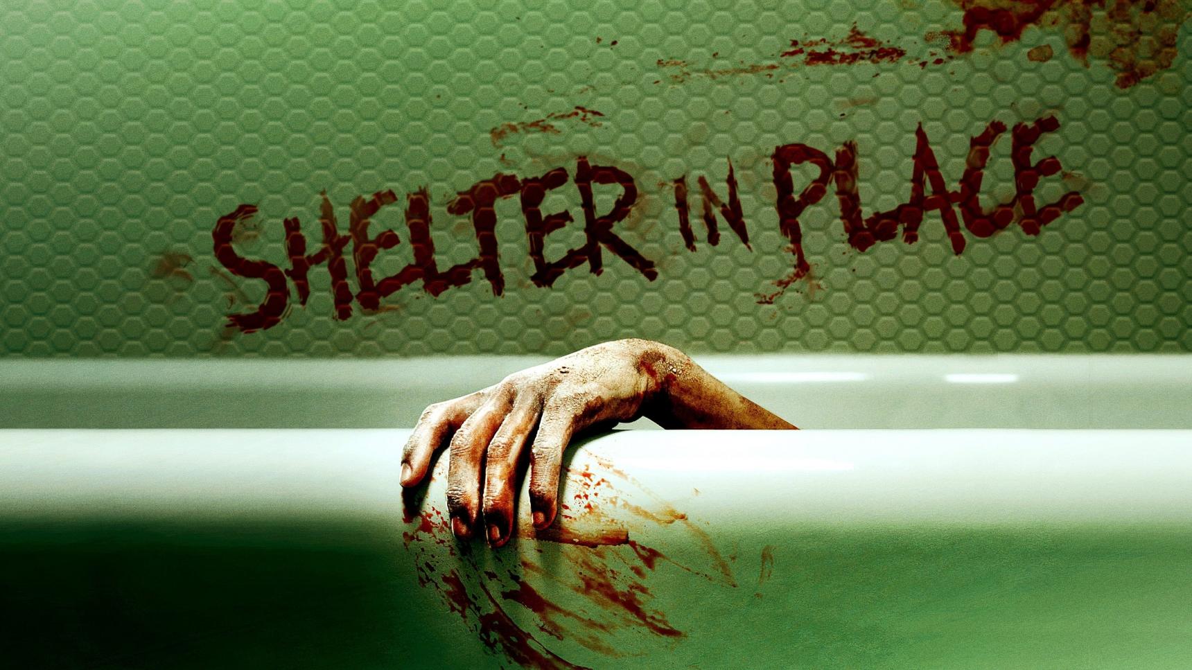 Fondo de pantalla de la película Shelter in Place en Cuevana 3 gratis
