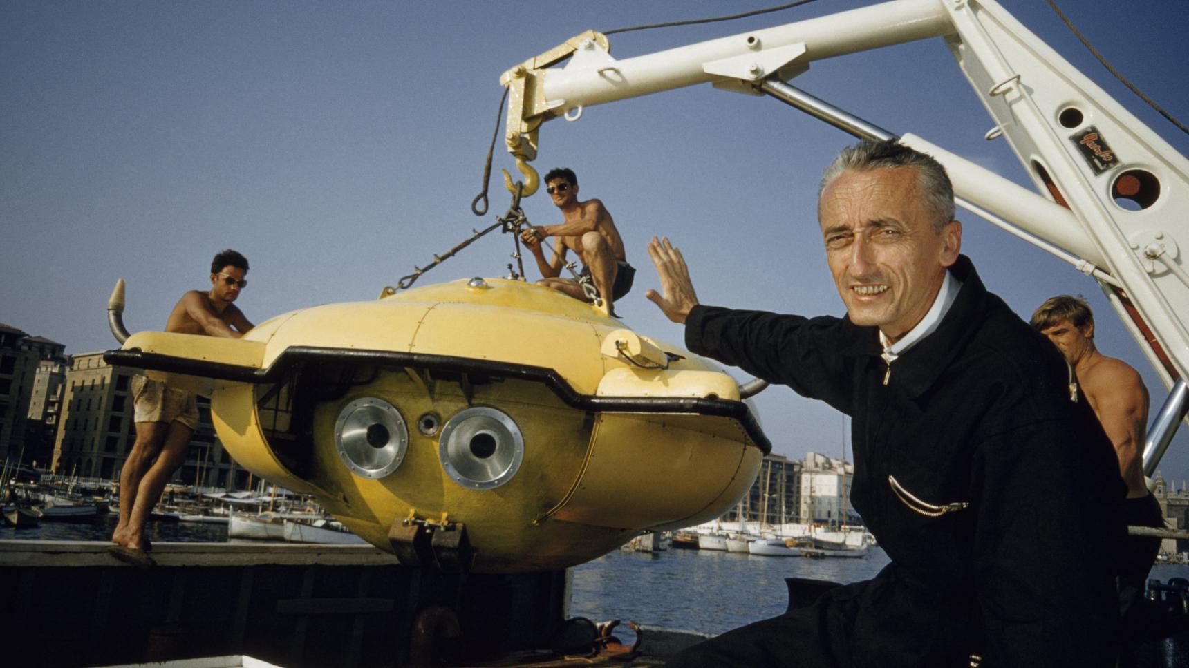 Fondo de pantalla de la película Cousteau: Pasado y futuro en Cuevana 3 gratis