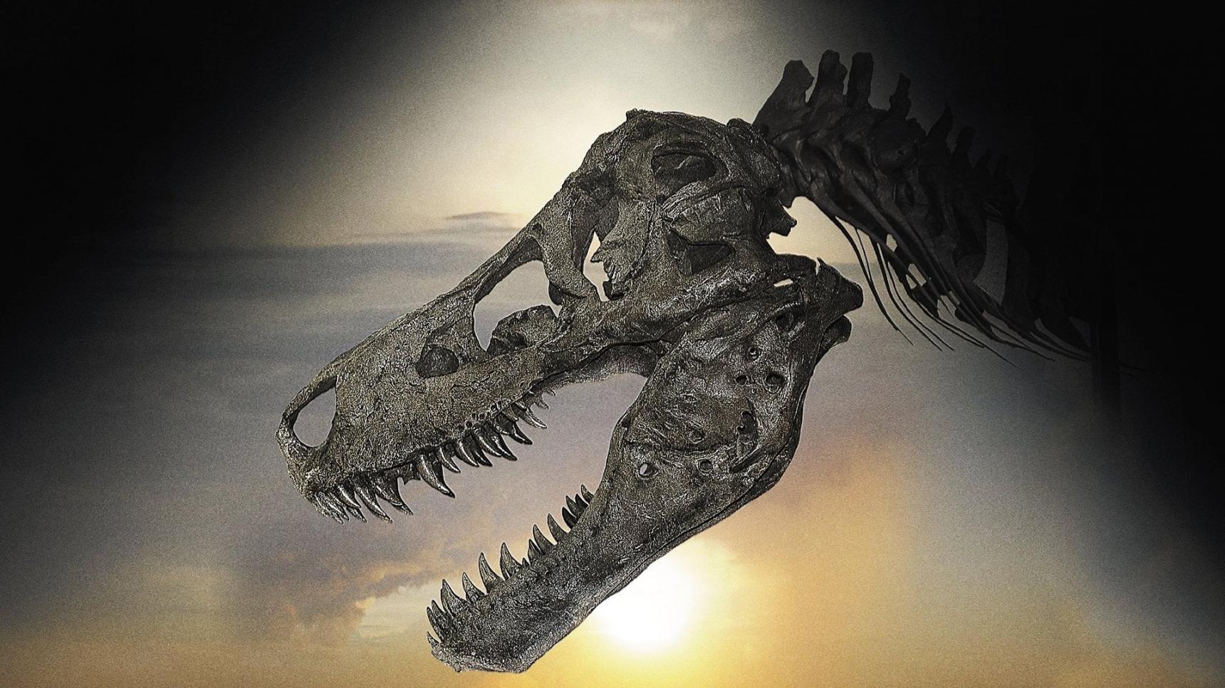 Fondo de pantalla de la película Dinosaur 13 en Cuevana 3 gratis