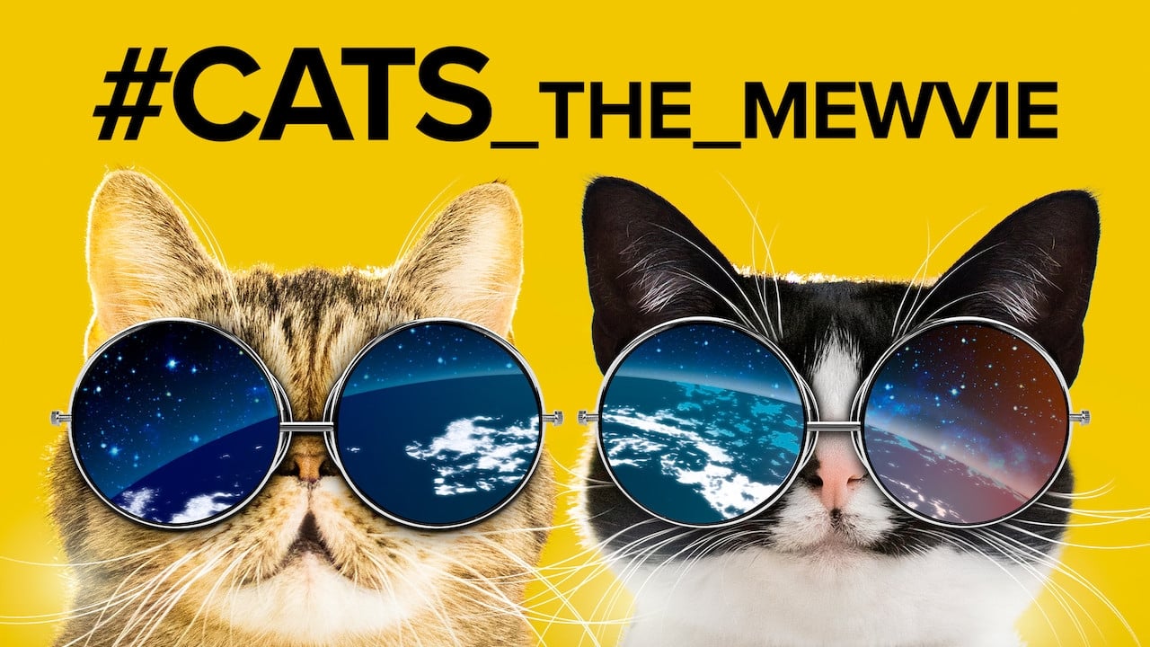 Fondo de pantalla de la película #cats_the_mewvie en Cuevana 3 gratis