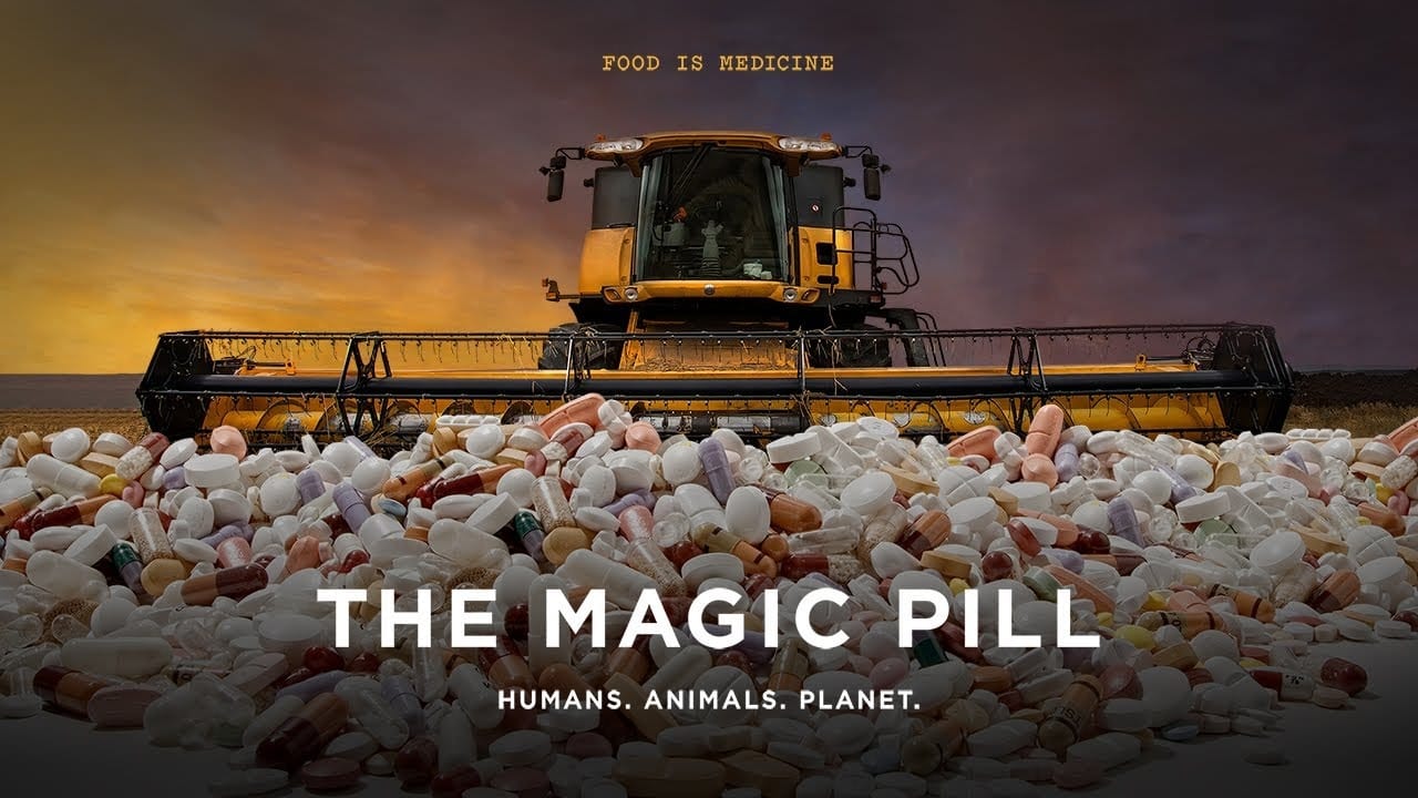 Fondo de pantalla de la película The Magic Pill en Cuevana 3 gratis
