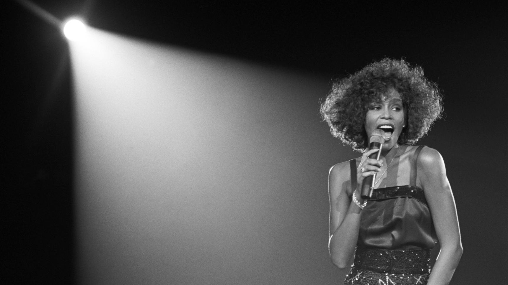 actores de Whitney: Can I Be Me
