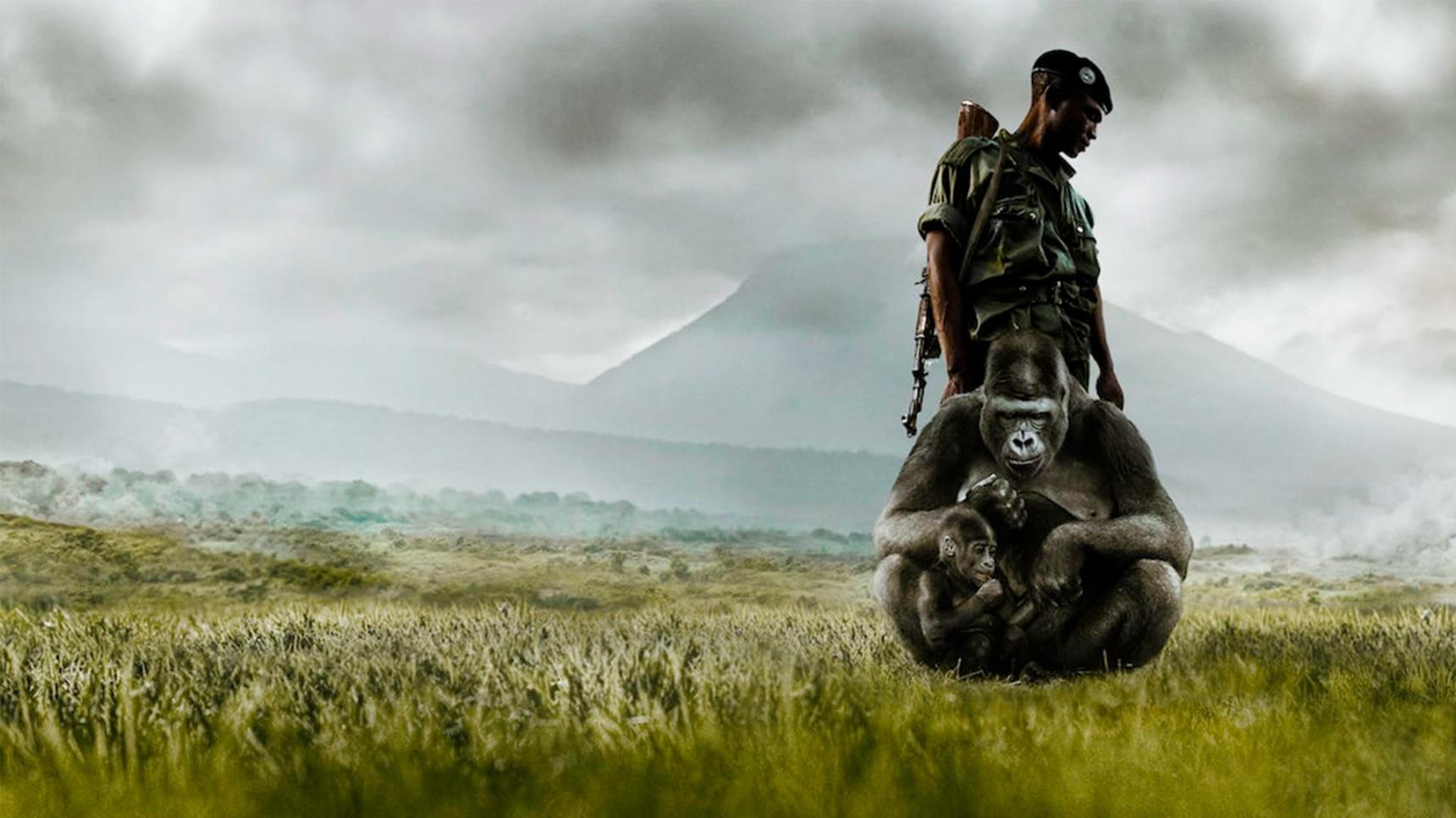 Fondo de pantalla de la película Virunga en Cuevana 3 gratis