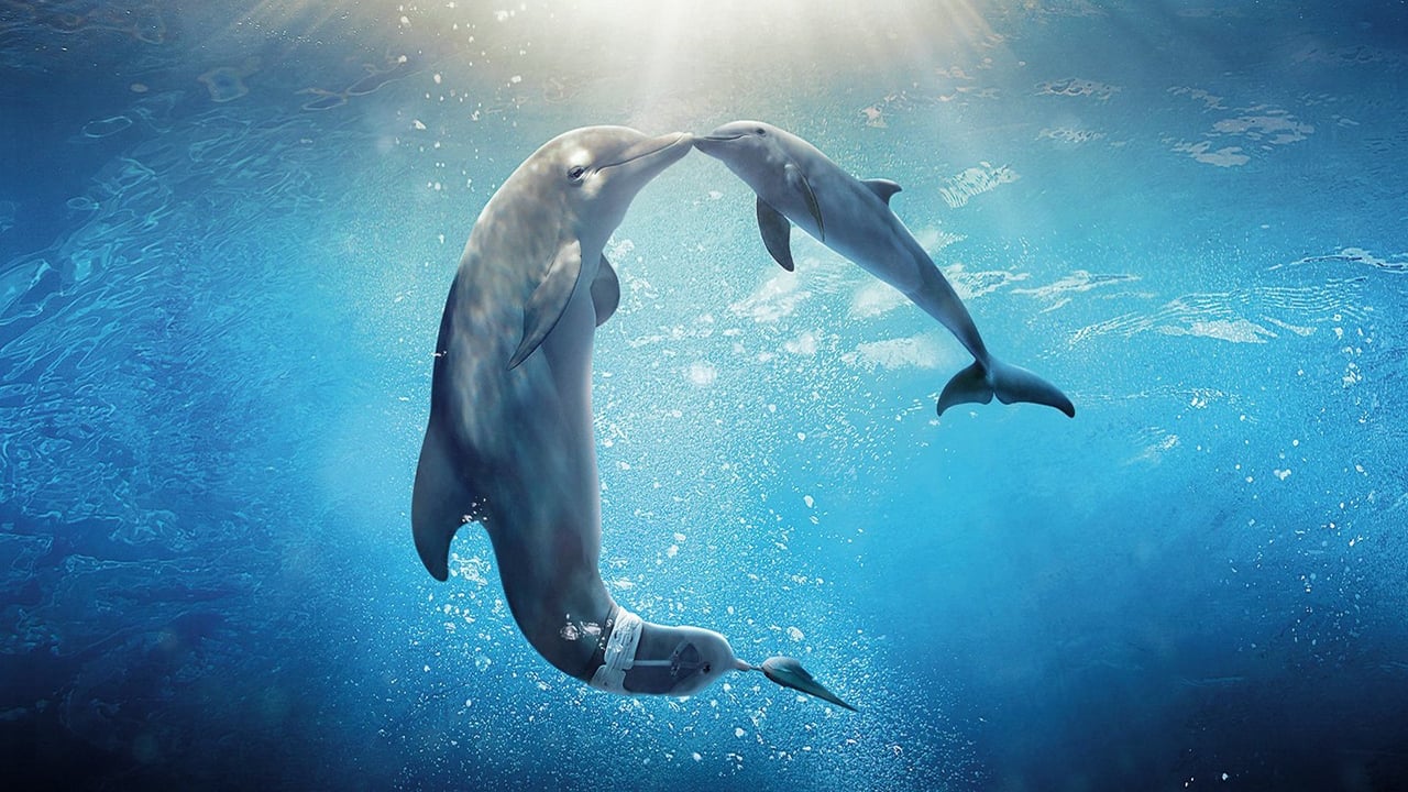 Fondo de pantalla de la película La gran aventura de Winter el delfín 2 en Cuevana 3 gratis