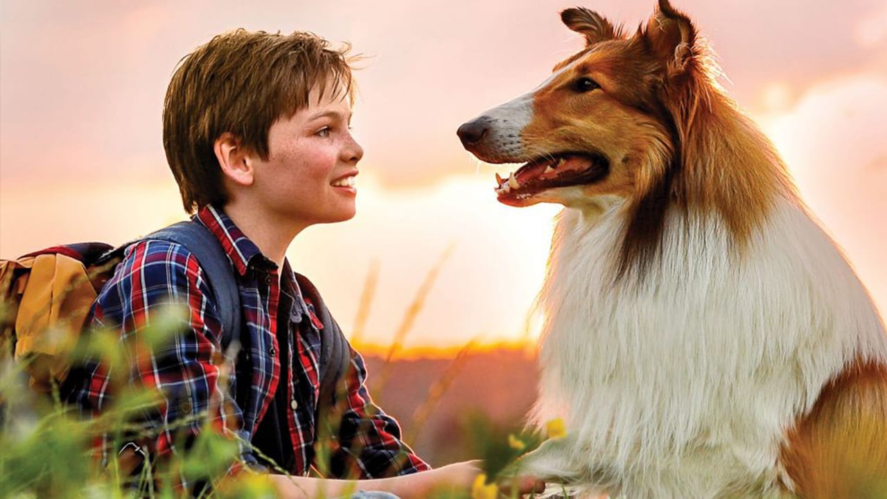 Fondo de pantalla de la película Lassie Vuelve a Casa en Cuevana 3 gratis