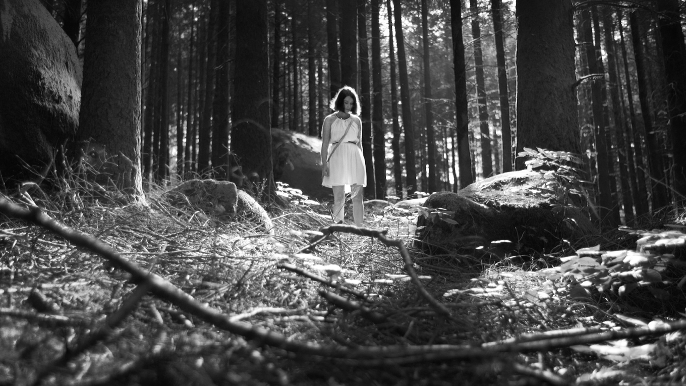 Fondo de pantalla de la película El Bosque de las Almas Perdidas en Cuevana 3 gratis