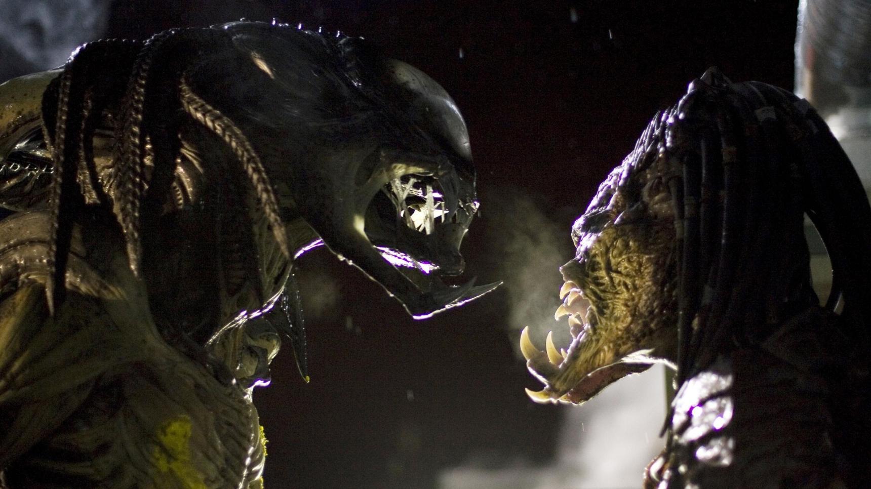 Fondo de pantalla de la película Aliens vs. Predator 2 en Cuevana 3 gratis