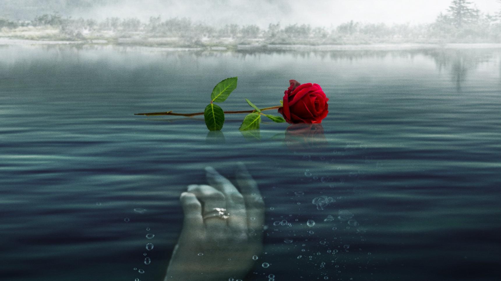 poster de A Rose for Her Grave: The Randy Roth Story