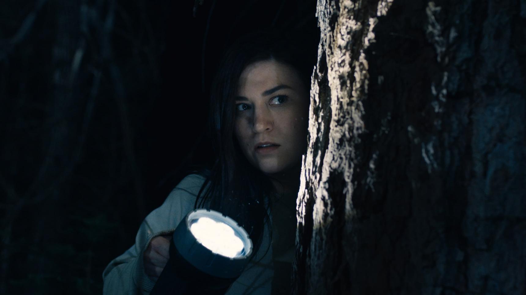 Fondo de pantalla de la película Stranger in the Woods en Cuevana 3 gratis