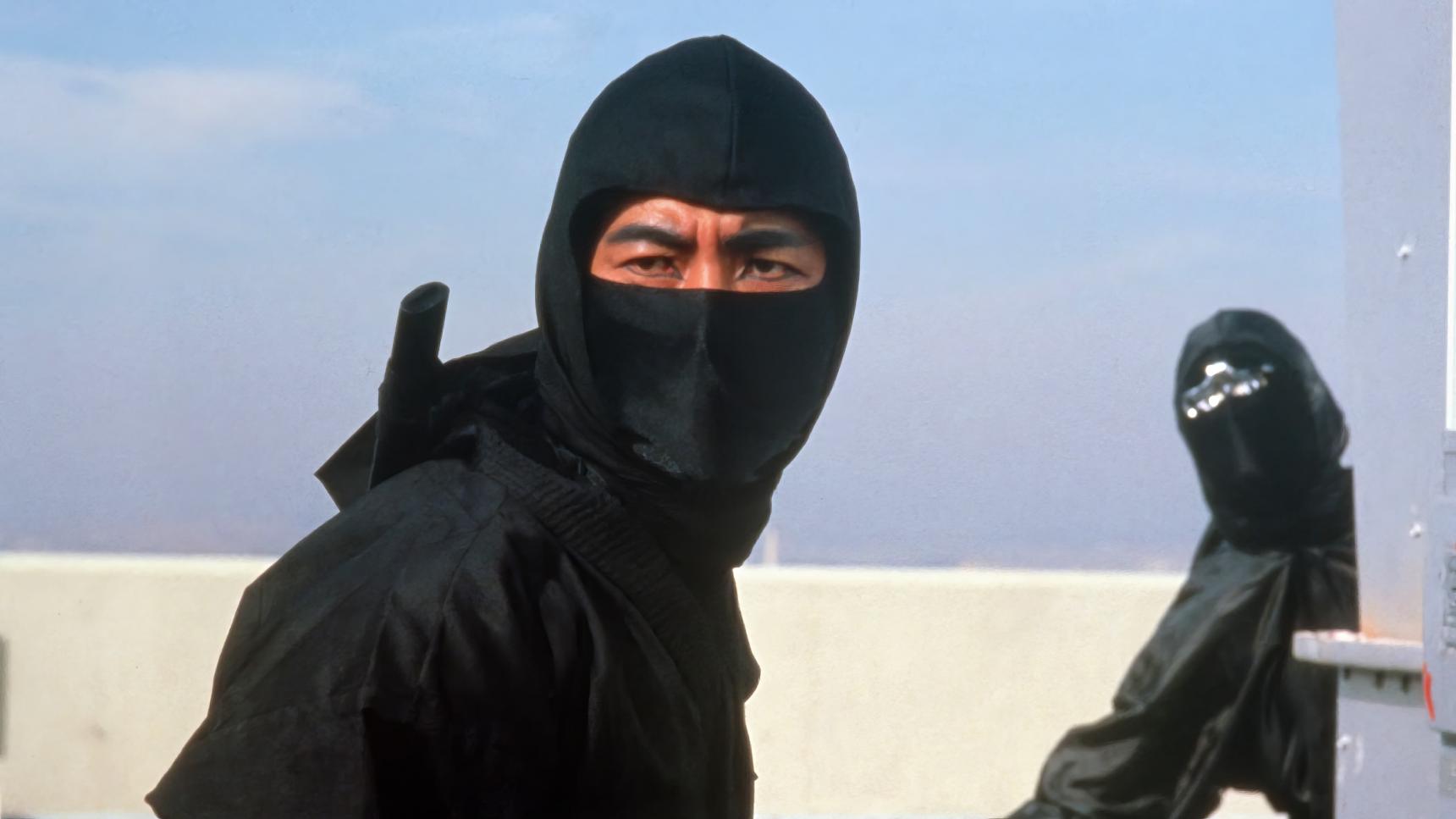 Fondo de pantalla de la película La venganza de Ninja en Cuevana 3 gratis