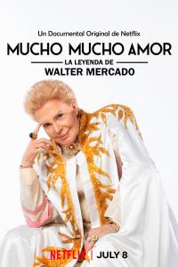 resumen de Mucho Mucho Amor: La Leyenda de Walter Mercado