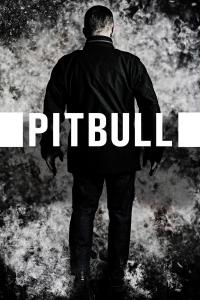 poster de la pelicula Pitbull: Fuerza Bruta gratis en HD