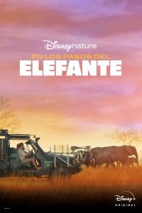 poster de la pelicula Tras los Pasos del Elefante gratis en HD