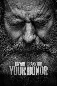 poster de la serie Your Honor online gratis