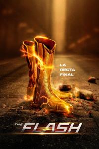 poster de The Flash, temporada 6, capítulo 7 gratis HD