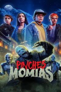 poster de la serie Pinches Momias online gratis